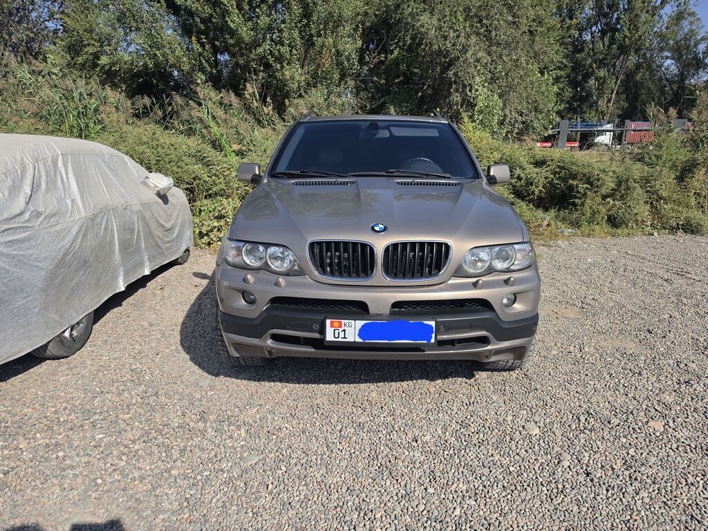 BMW X5: 2005 г., 3 л, Автомат, Дизель, Внедорожник: фото 2