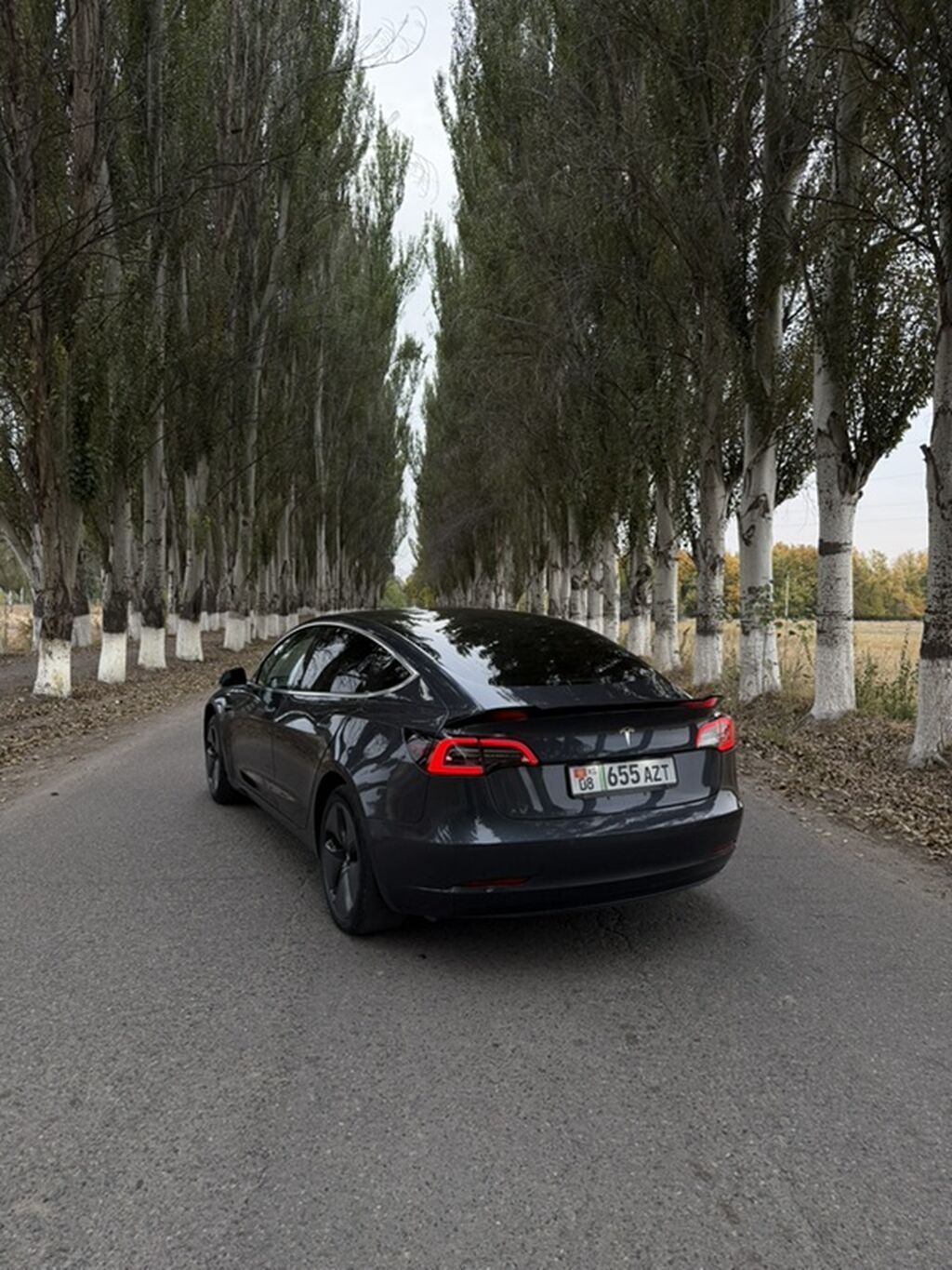 Tesla Model 3: 2018 г., 0.1 л, Автомат, Электромобиль, Седан: фото 2