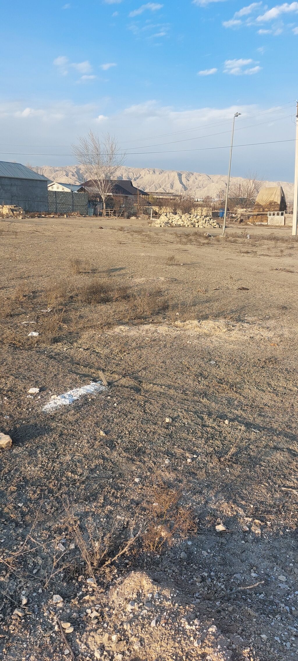 Tikinti