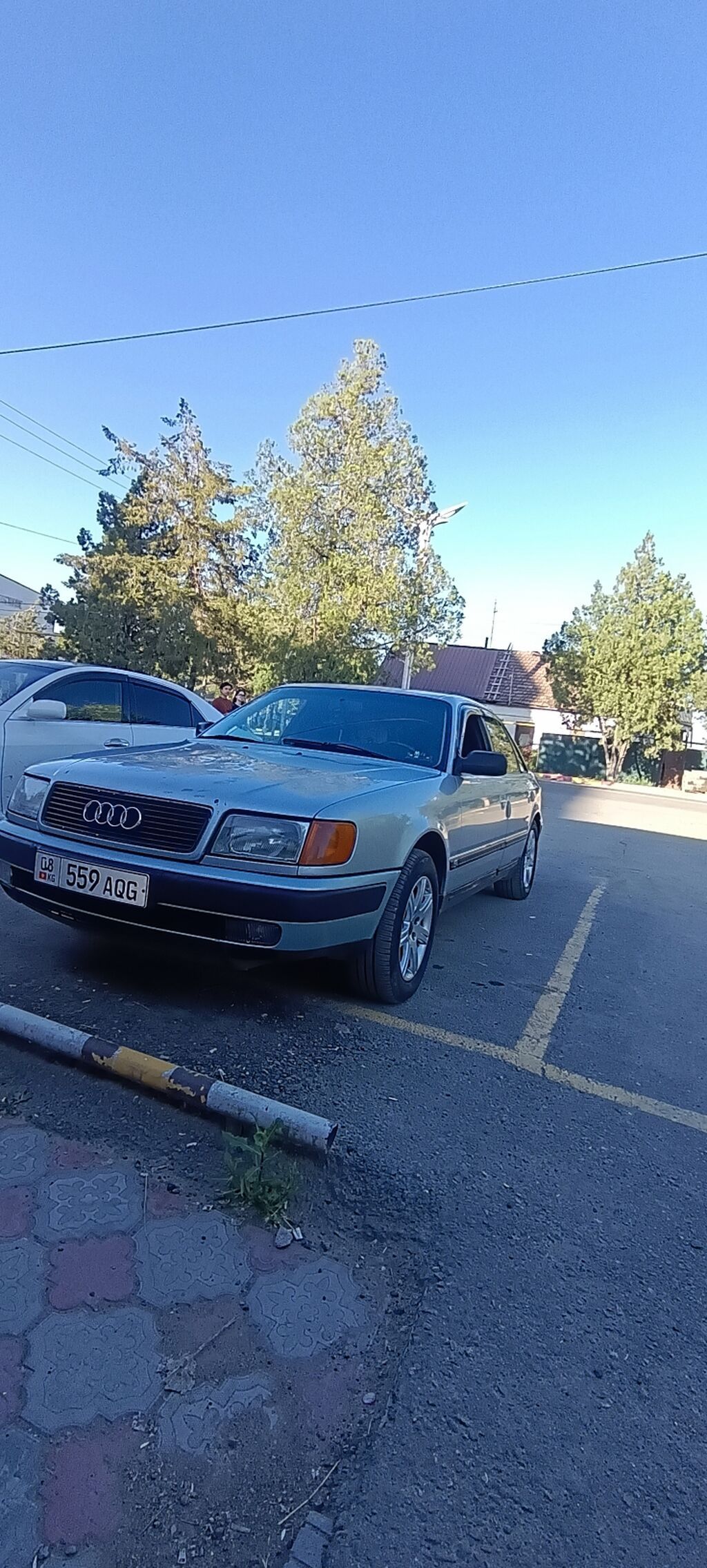 Audi 100: 1993 г., 2.5 л, Механика, Дизель, Седан: фото 2