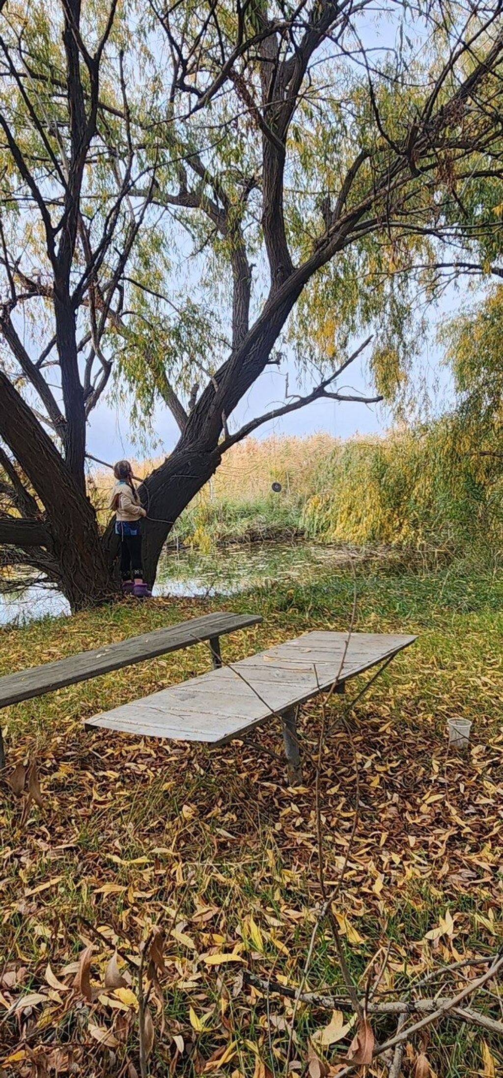 Farm КРС, 110 соток, Действующий, Электричество
