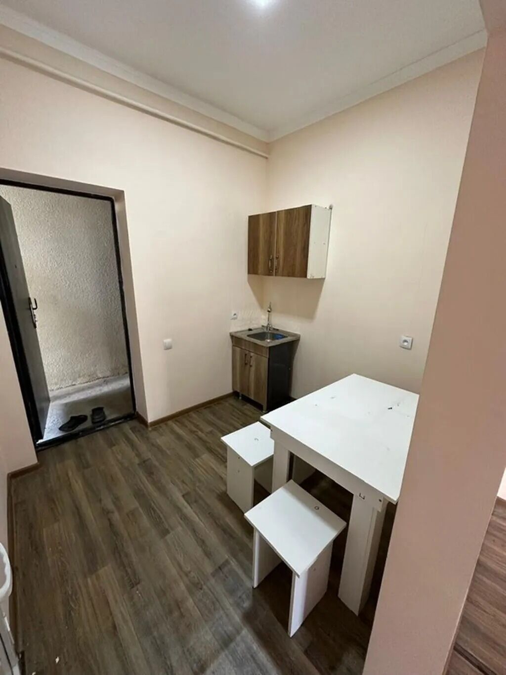 20 м², 1 комната, Маевка с., Без животных: фото 5