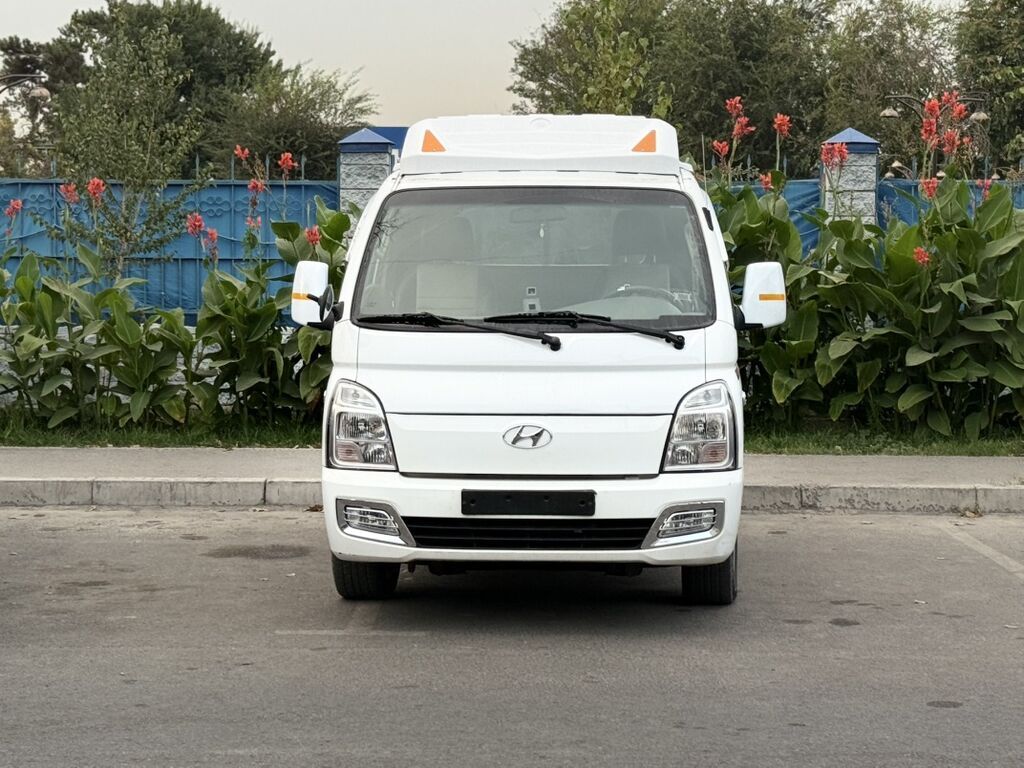 Легкий грузовик, Hyundai, Стандарт, 3 т, Б/у: фото 2