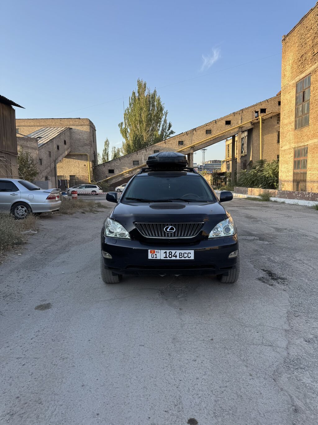 Lexus RX: 2004 г., 3 л, Автомат, Бензин, Кроссовер: фото 1