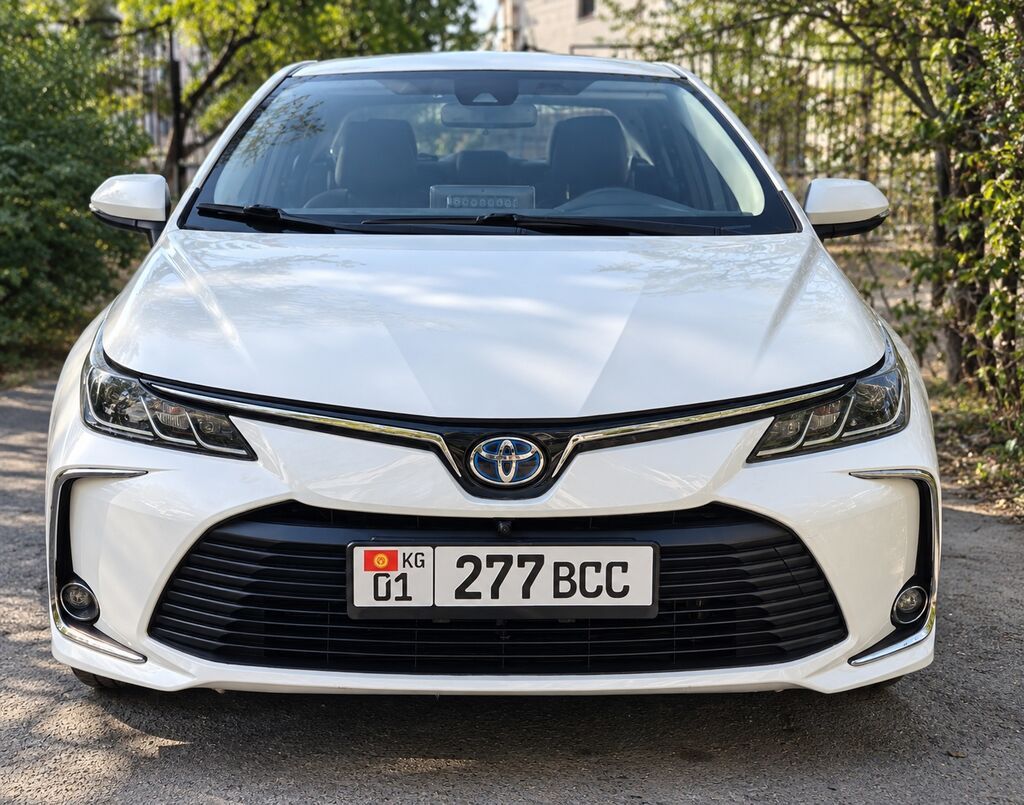 Фото 2