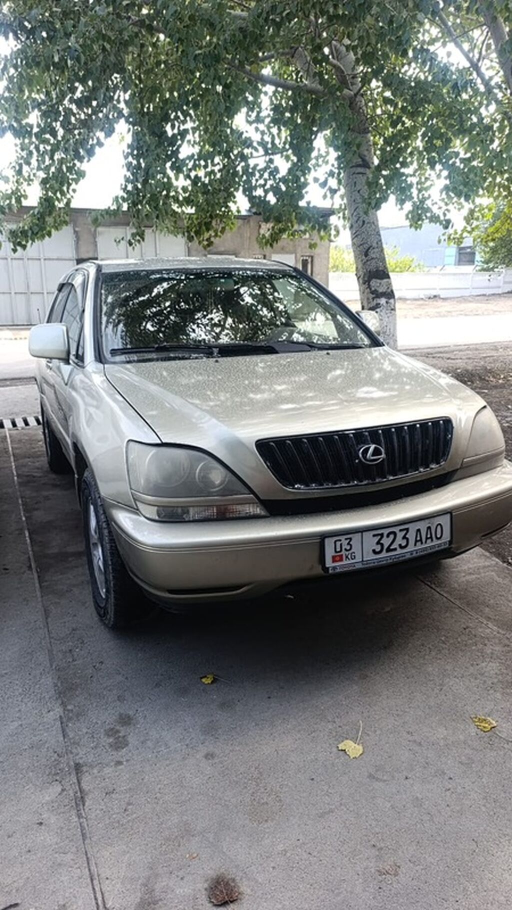 Lexus RX: 2000 г., 3 л, Автомат, Бензин, Кроссовер: фото 7