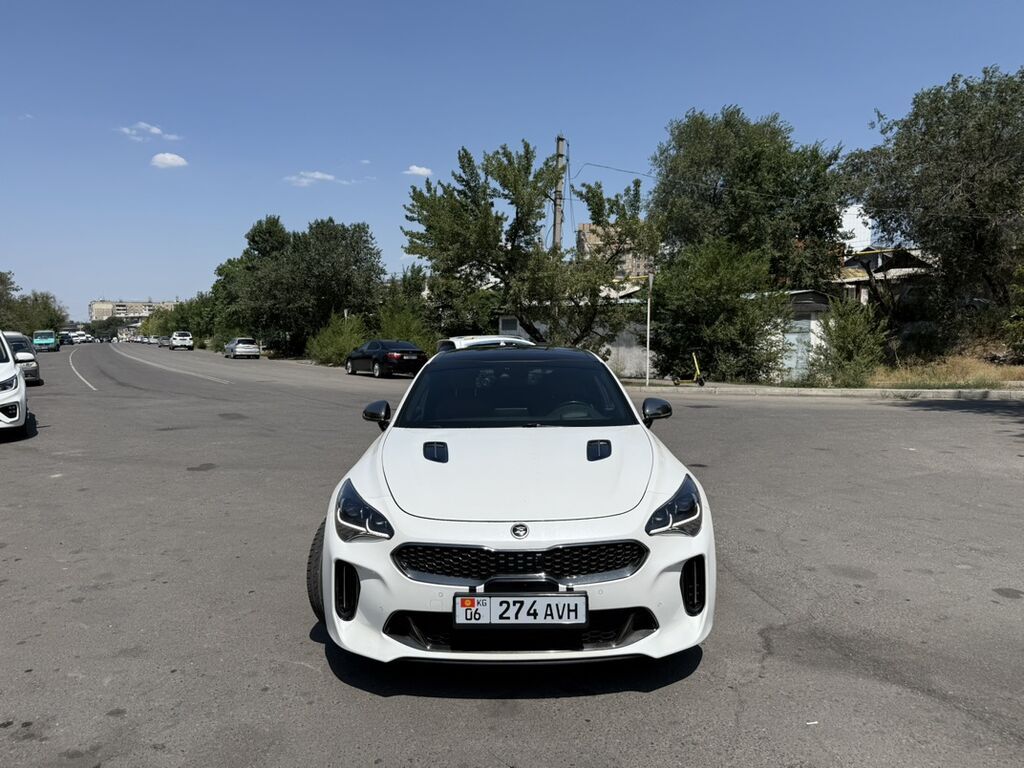 Kia Stinger: 2019 г., 2 л, Автомат, Бензин, Фастбек: фото 3