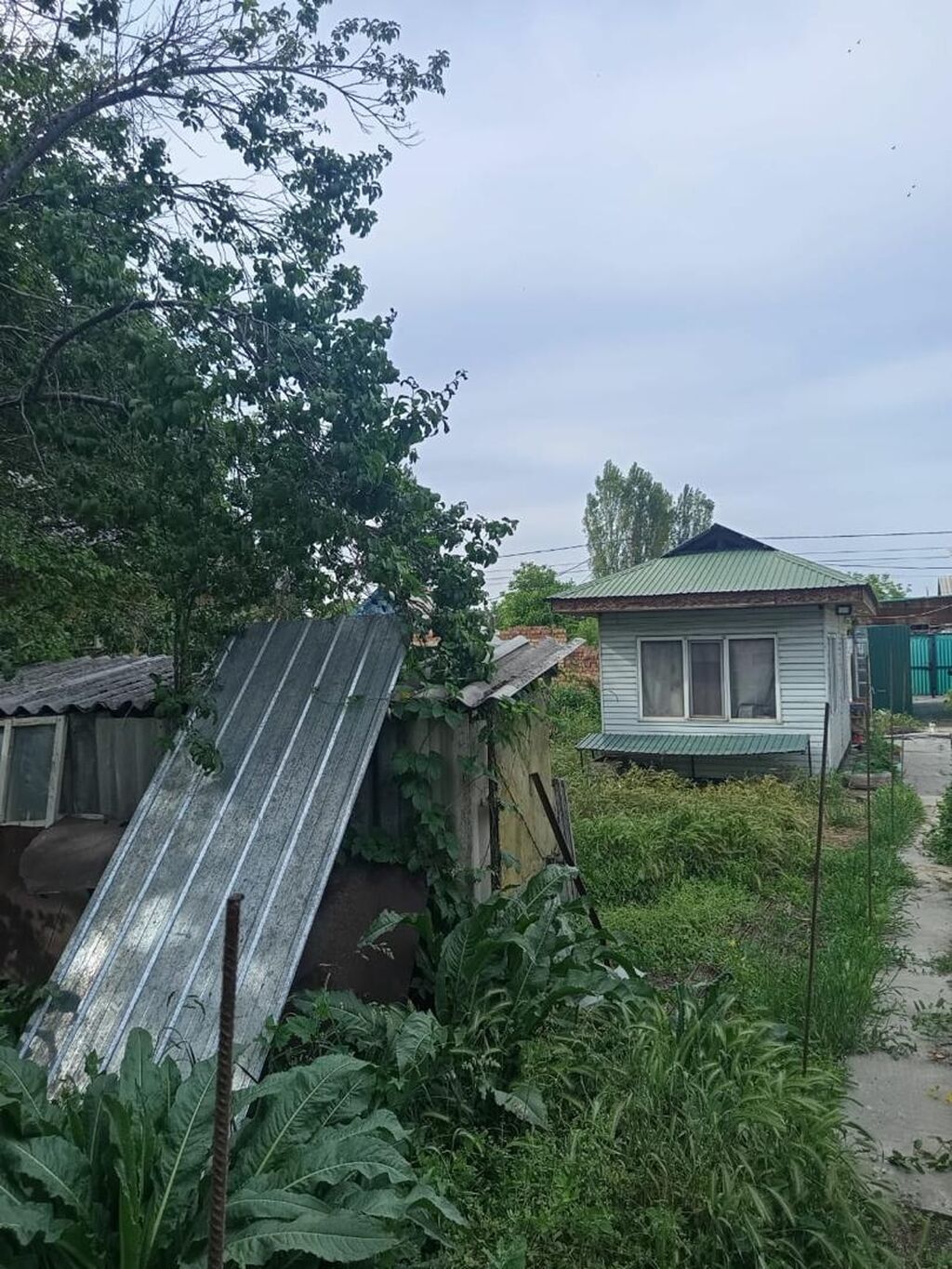 5 соток, Для строительства, Красная книга, Тех паспорт, Договор купли-продажи: фото 4