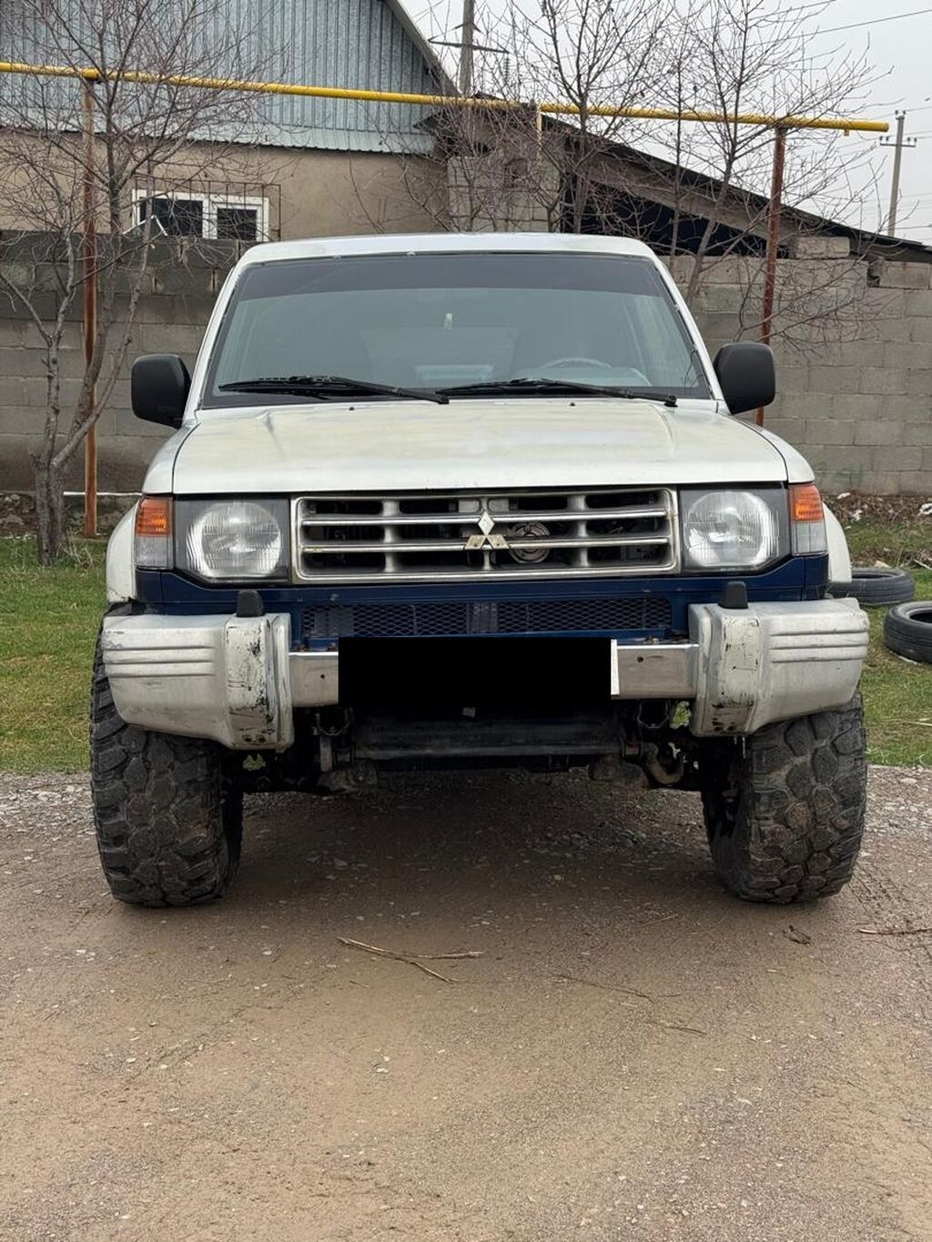 Mitsubishi Pajero: 1992 г., 2.5 л: фото 1