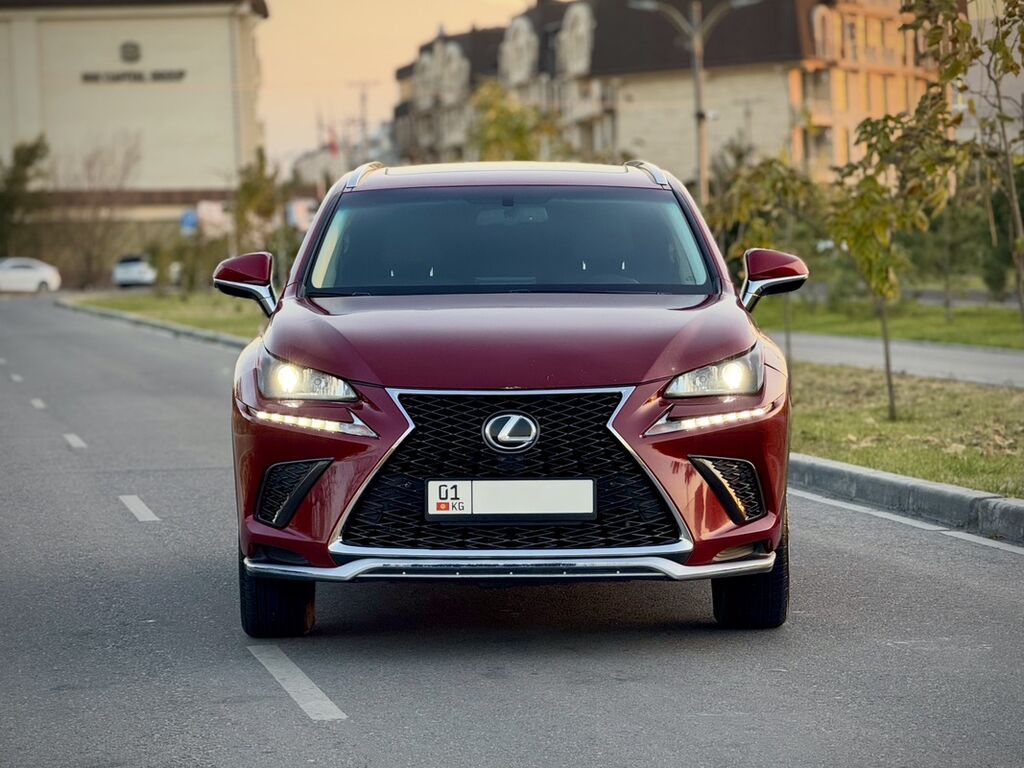 Lexus NX: 2016 г., 2 л, Автомат, Бензин, Кроссовер: фото 3