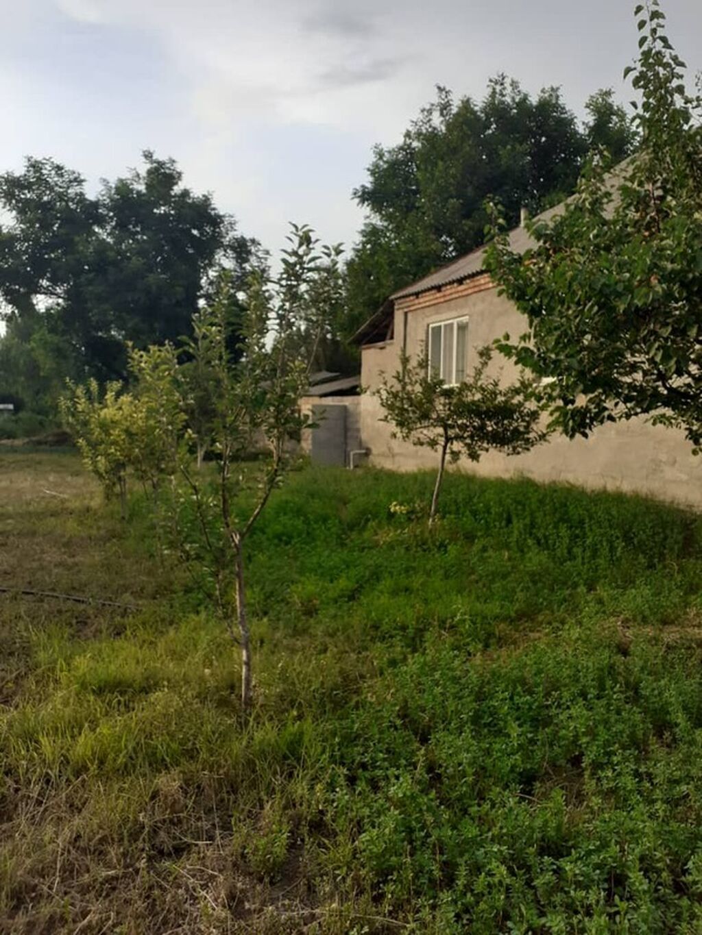 Продаётся дом Село Федоровка, ул. 60-лет Киргизии 1а Жилая площадь: фото 6