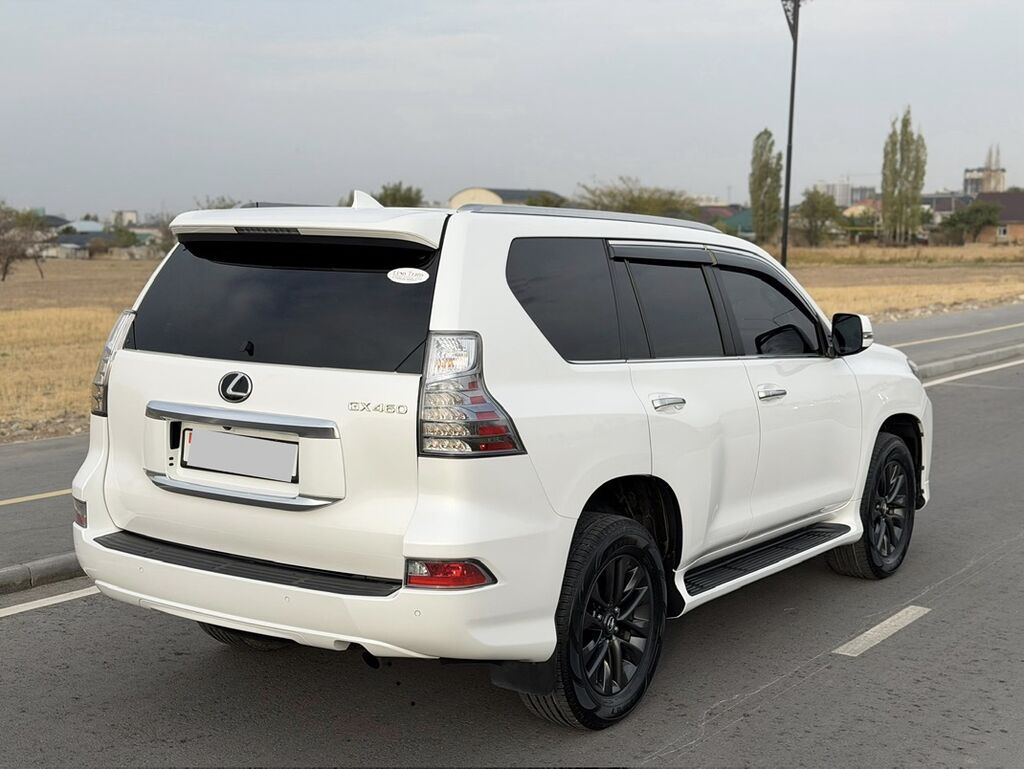 Lexus GX: 2020 г., 4.6 л, Автомат, Бензин, Внедорожник: фото 5