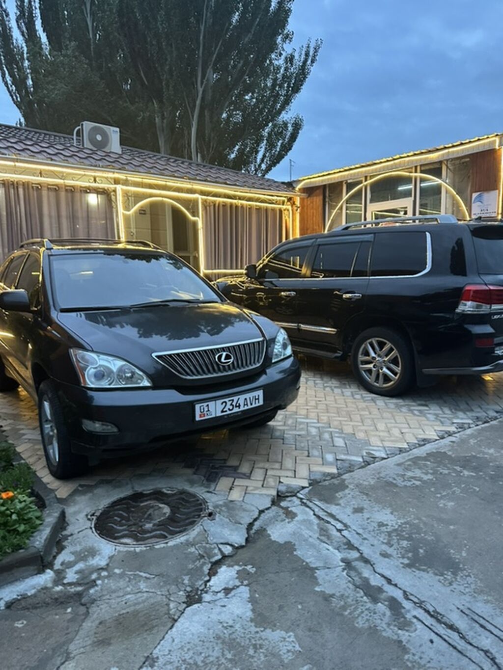 Lexus RX: 2004 г., 3.3 л, Автомат, Бензин, Кроссовер