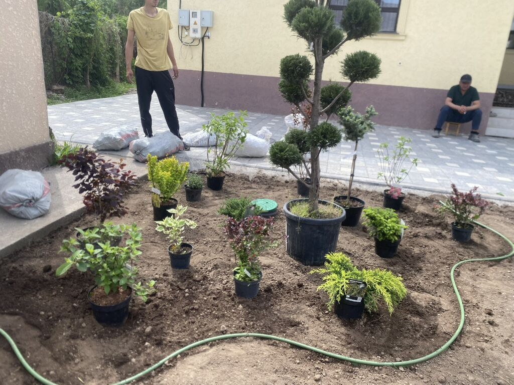 Услуги по устройству газонов и благоустройству участков. Что делаем — фото 8