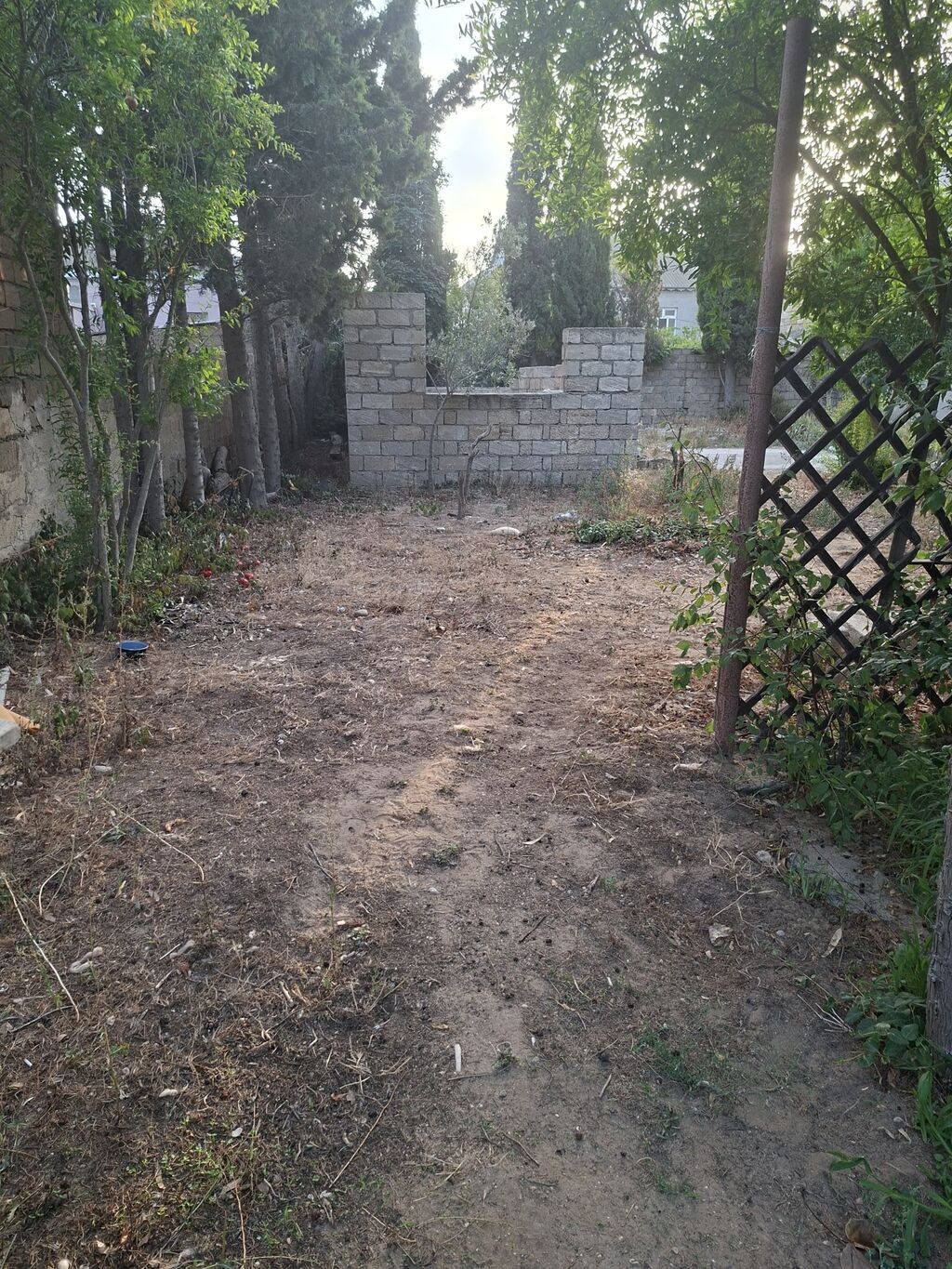 3 sot, Tikinti, Kupça (Çıxarış)