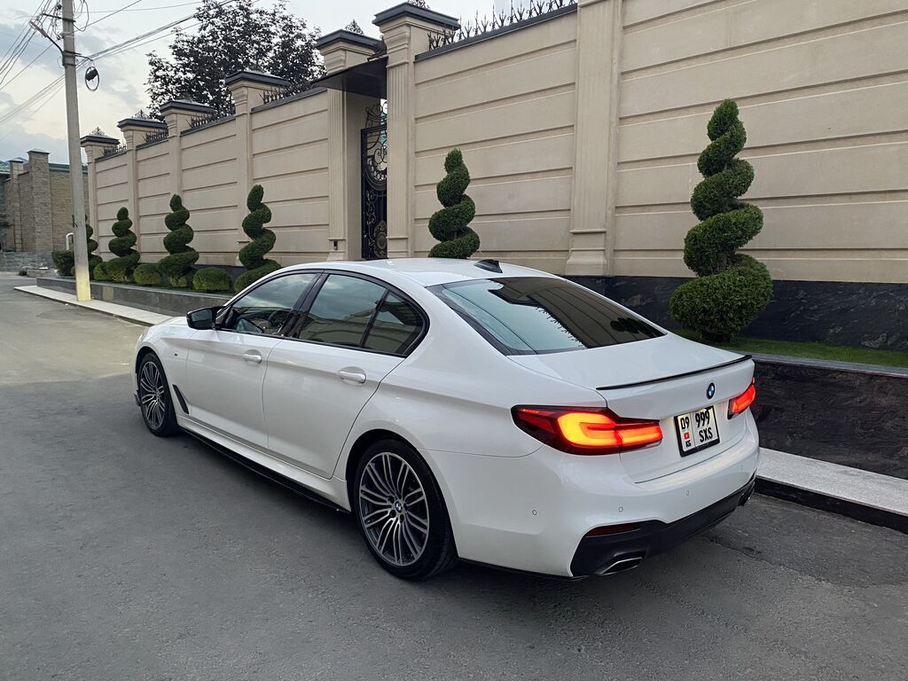 BMW 5 series: 2019 г., 2 л, Автомат, Бензин, Седан: фото 2