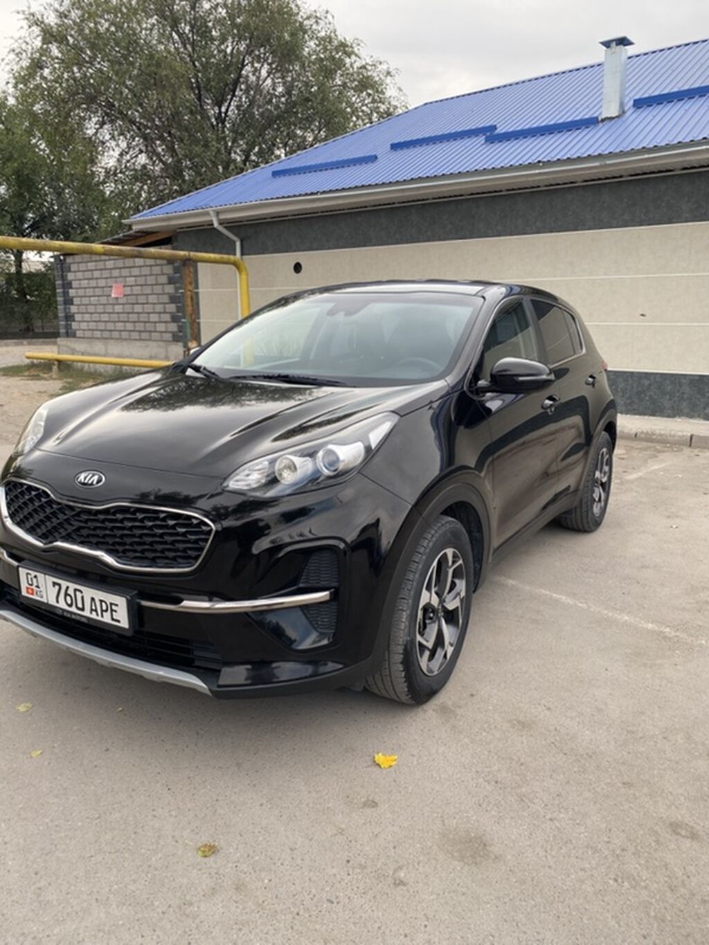 Kia Sportage: 2019 г., 1.6 л, Автомат, Дизель, Кроссовер: фото 2