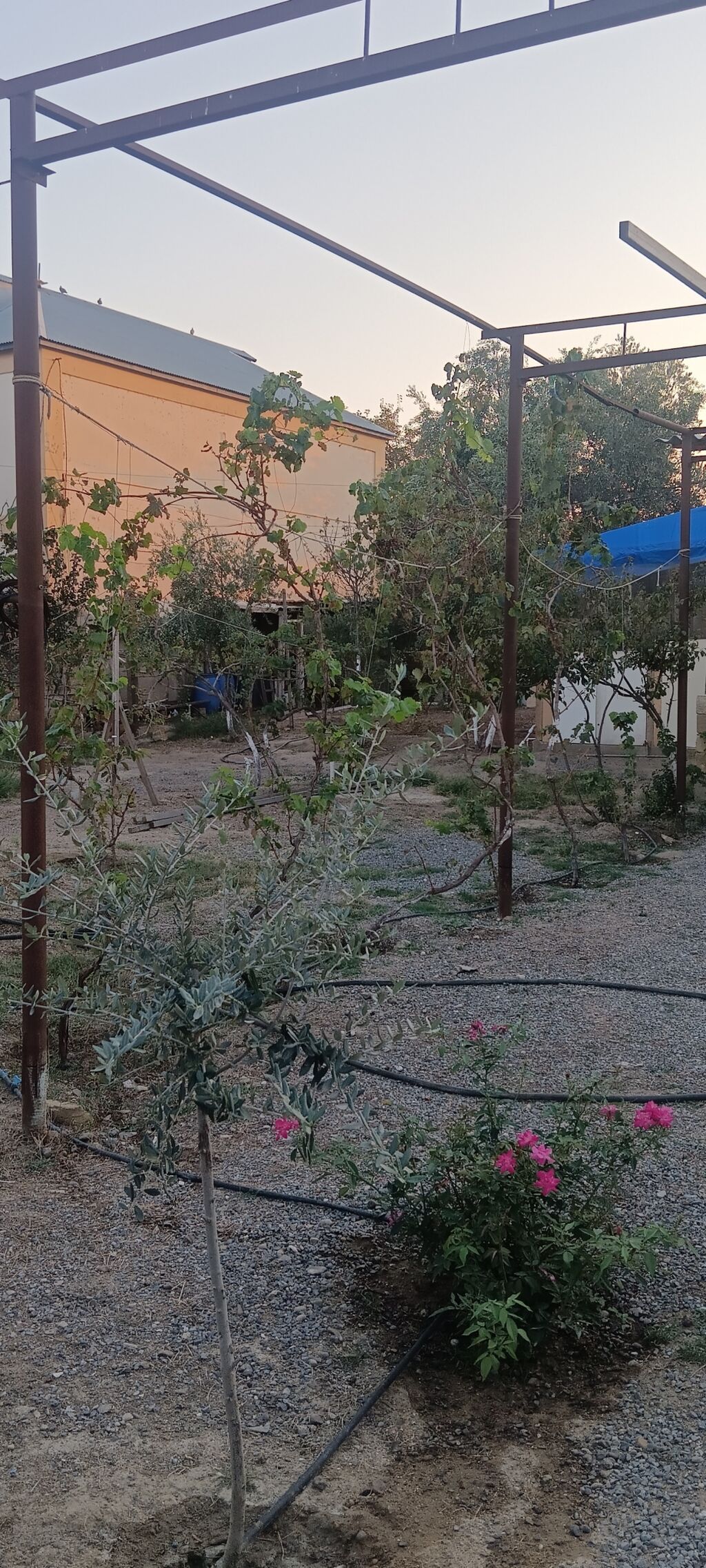Bakı, Qobustan qəs., 40 kv. m, 2 otaqlı, Hovuzsuz, İşıq