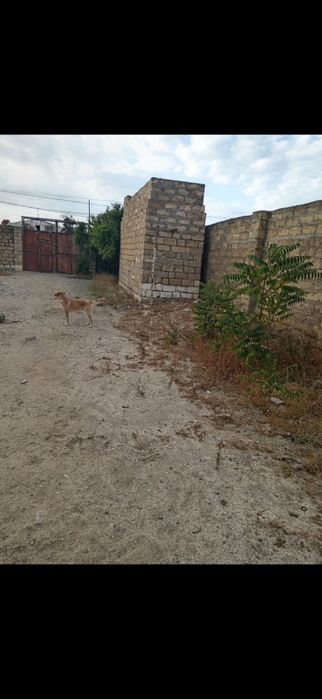 12 sot, Tikinti, Mülkiyyətçi, Kupça (Çıxarış)