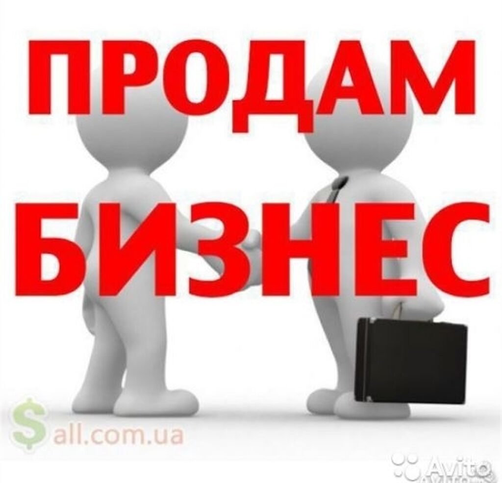 Купить готовый бизнес или создать дело с нуля: за и против