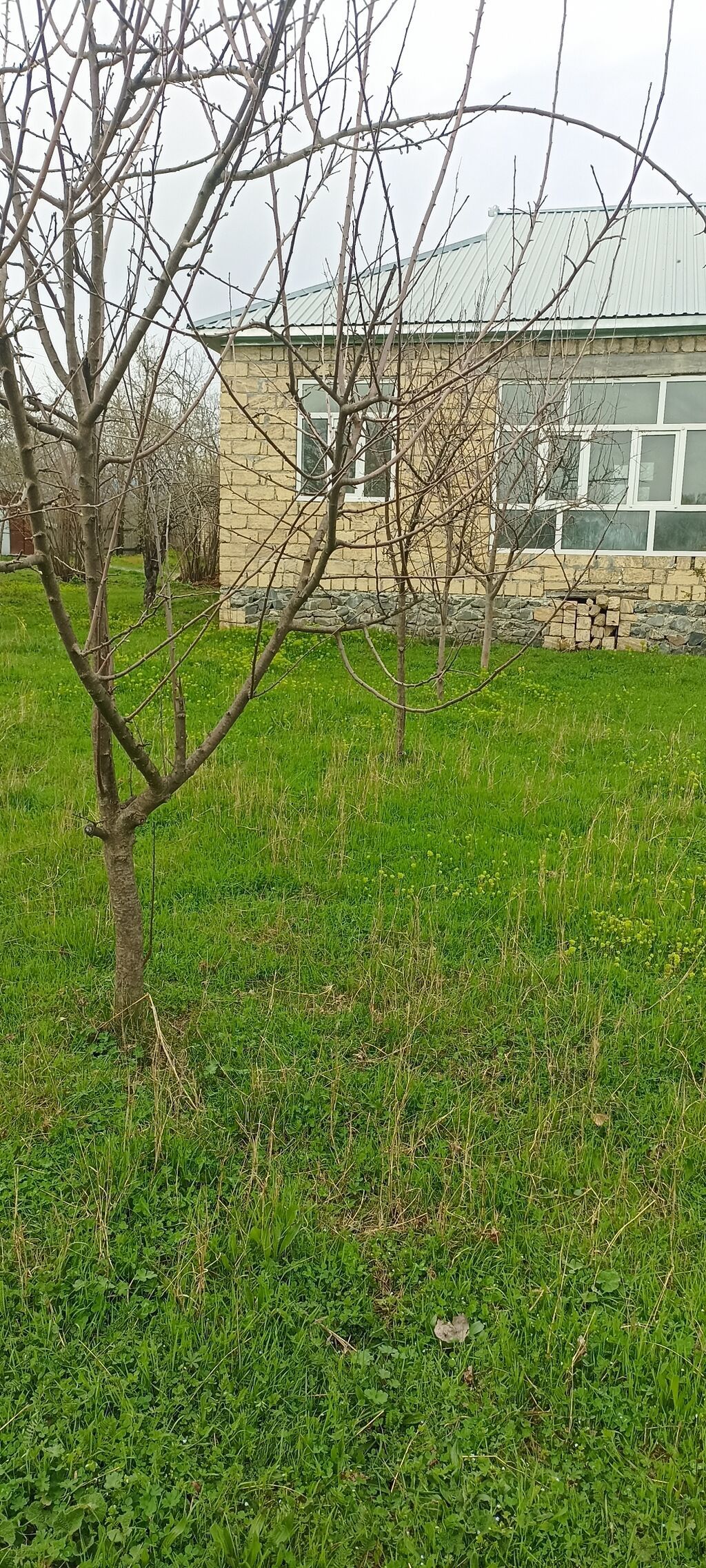 Qəbələ, 100 kv. m, 5 otaqlı, Hovuzsuz, İnternet