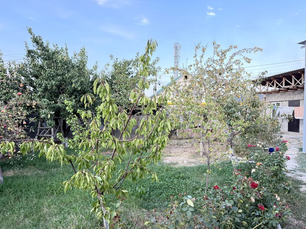 Продам дом с участком в Кара Жыгач: фото 6