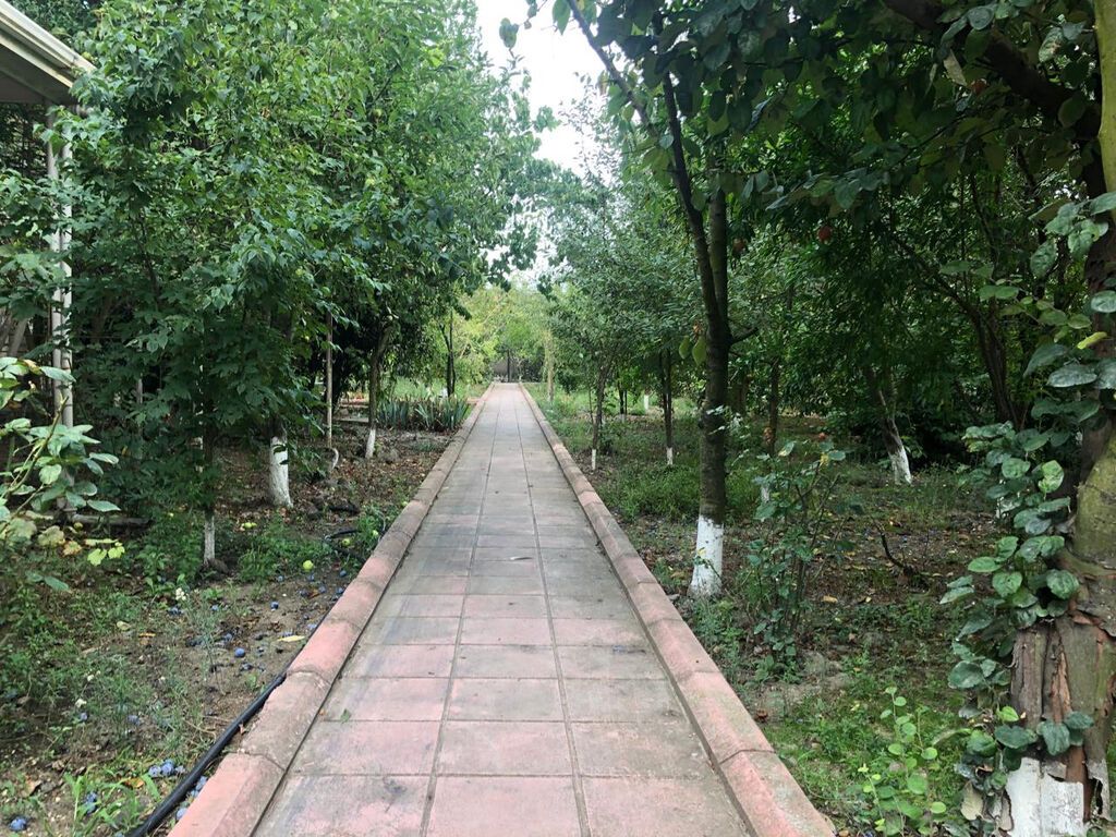 6 otaqlı, 175 kv. m, Kredit yoxdur, Yeni təmirli
