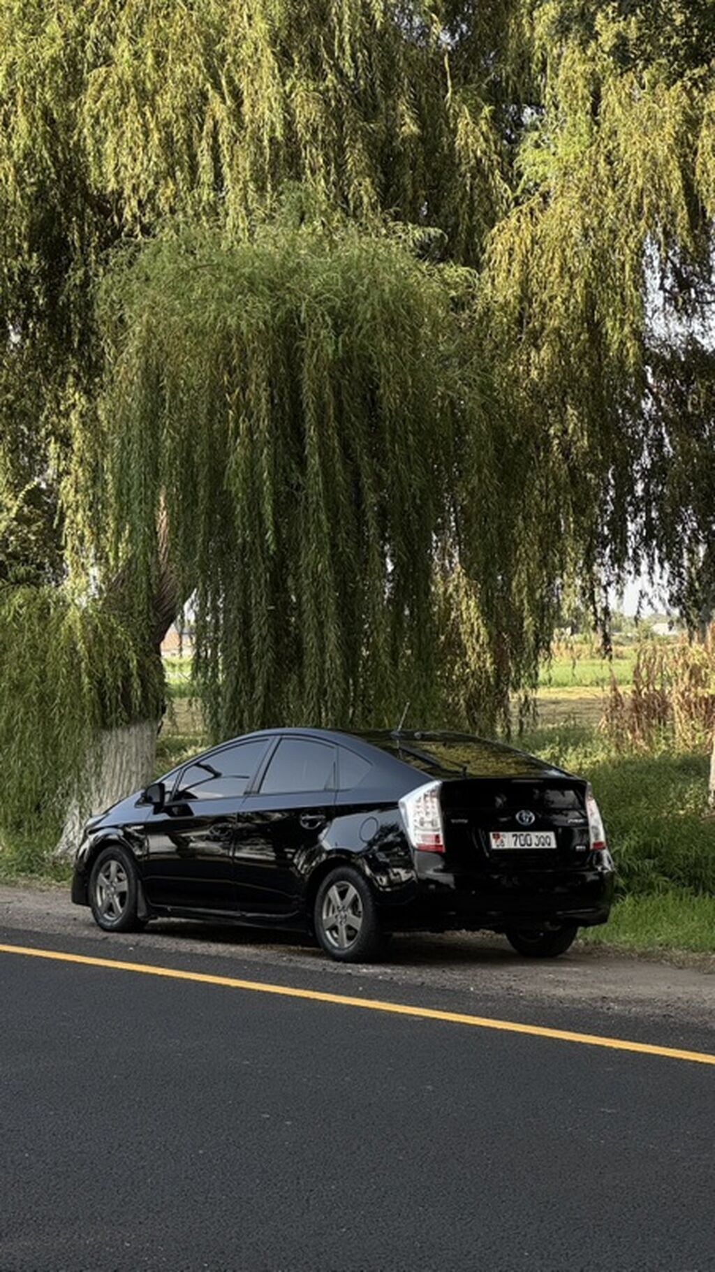 Toyota Prius: 2012 г., Автомат, Гибрид, Хэтчбэк: фото 2