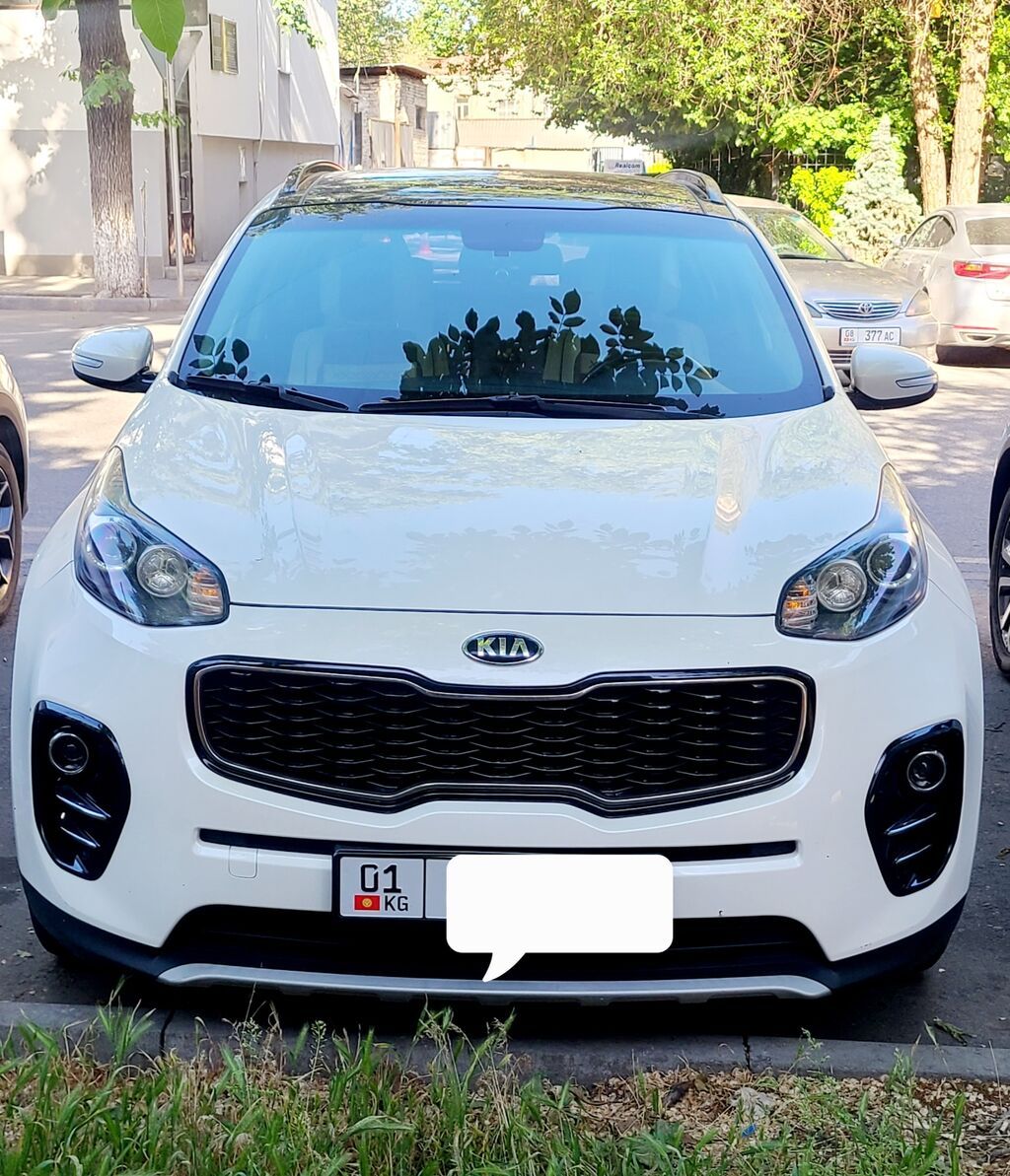 Kia Sportage: 2018 г., 2 л, Дизель, Кроссовер: фото 1
