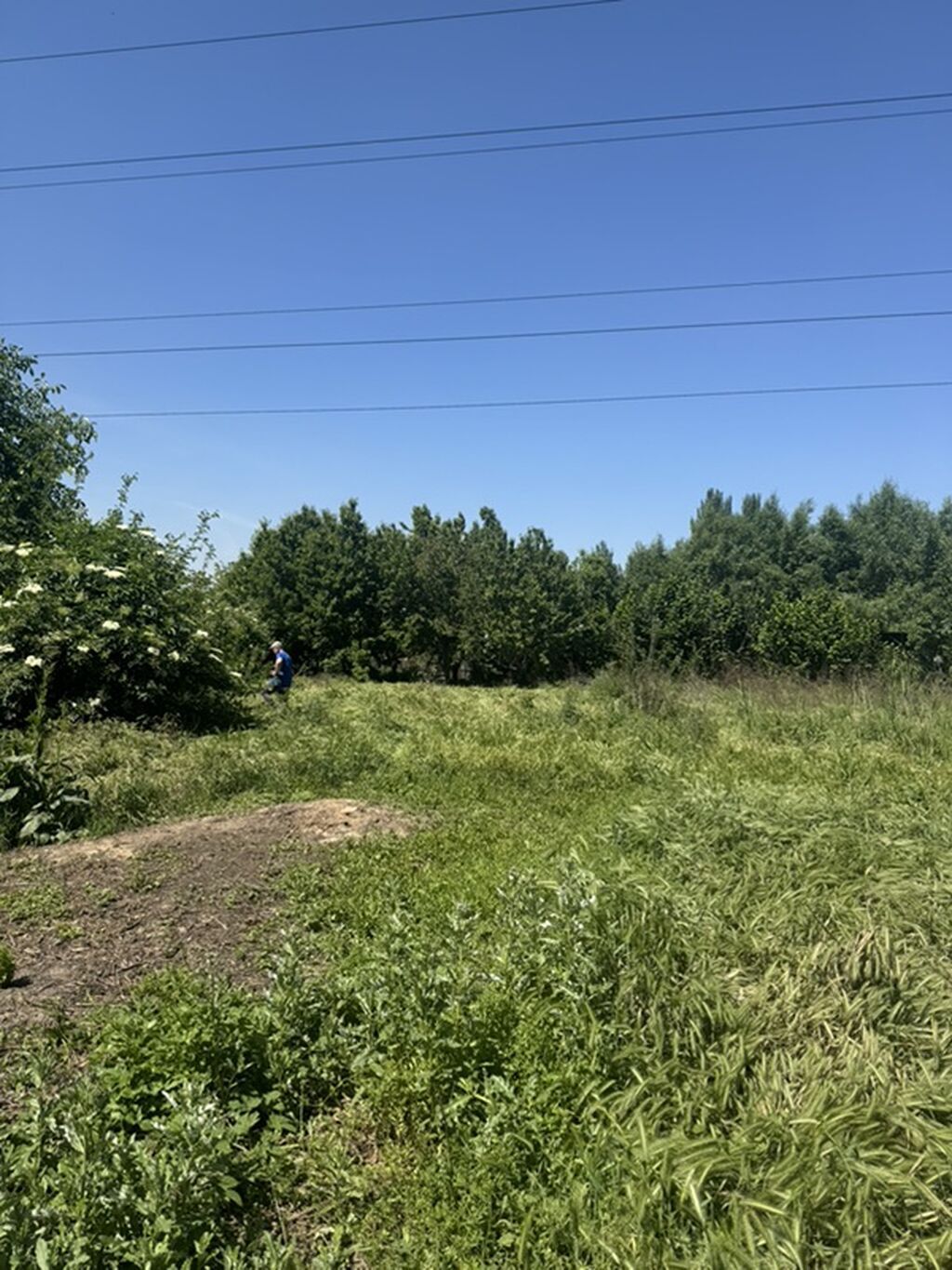 Продам участок с домом в районе ул. Витебская / ул. Элебесова. Площадь: фото 2