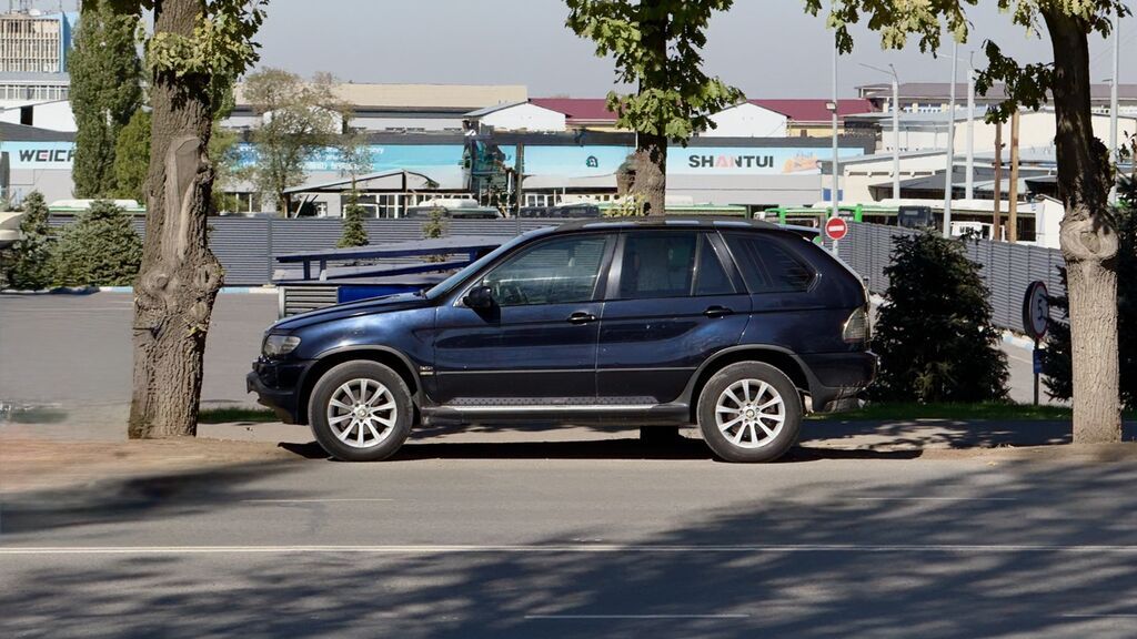 BMW X5: 2003 г., 3 л, Автомат, Бензин, Кроссовер: фото 1