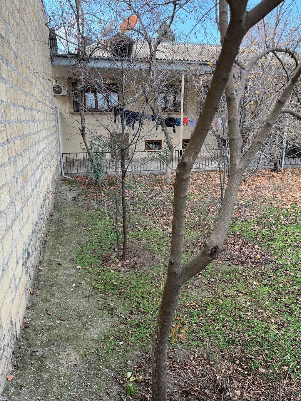 2 sot, Tikinti, Mülkiyyətçi, Kupça (Çıxarış)