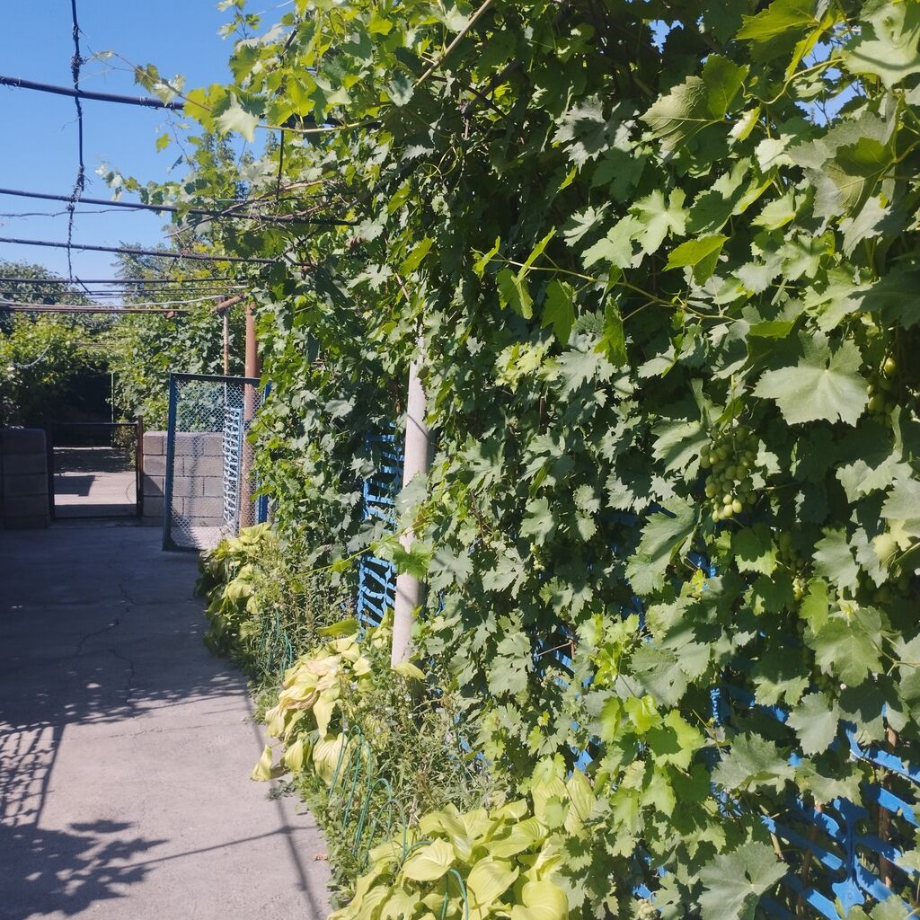 Продается дом с участком и баней, село пригородное Пригородное: фото 2