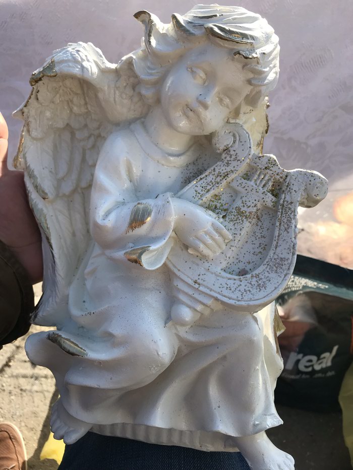 Ostalo: Nova figura na lalafo.rs Nova figura - Jagodina