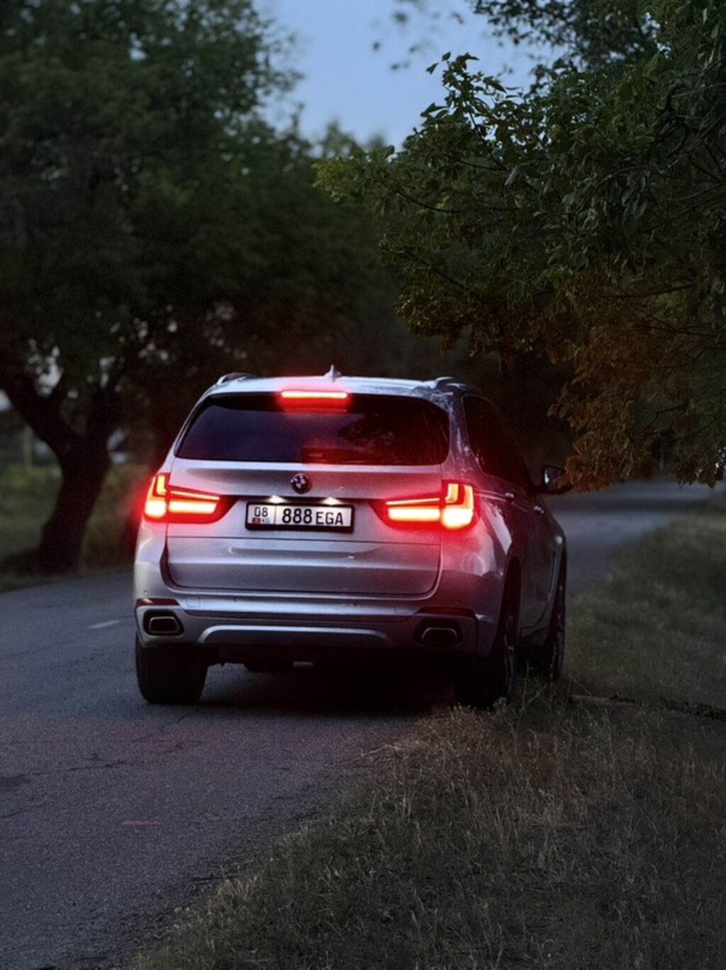 BMW X5: 2018 г., 3 л, Автомат, Бензин, Кроссовер: фото 5