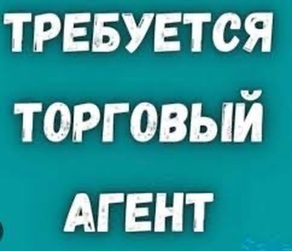 Требуется торговый агент и помощник агента: Договорная ᐈ Торговые агенты |  Бишкек | 33762932 ➤ lalafo.kg