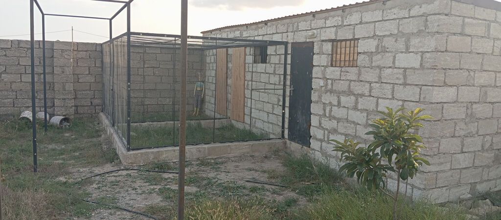 10 sot, Tikinti, Mülkiyyətçi, Kupça (Çıxarış)