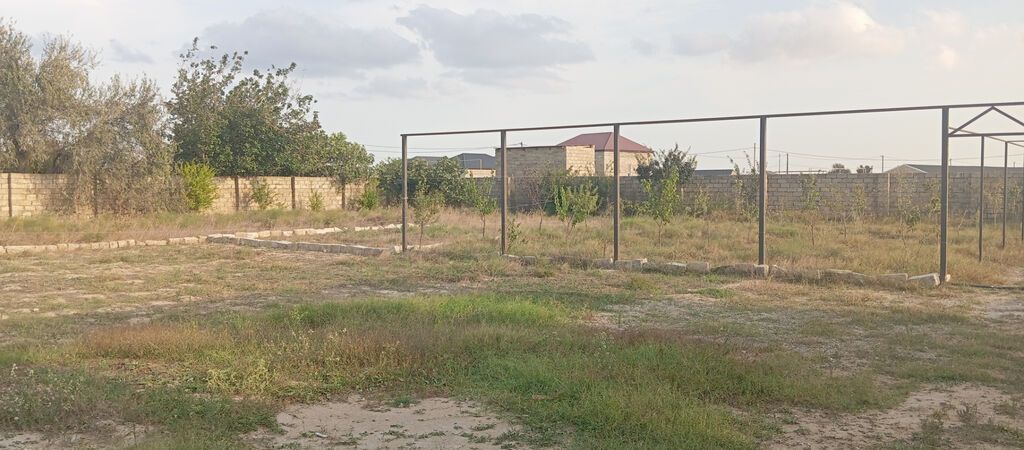 10 sot, Tikinti, Mülkiyyətçi, Kupça (Çıxarış)
