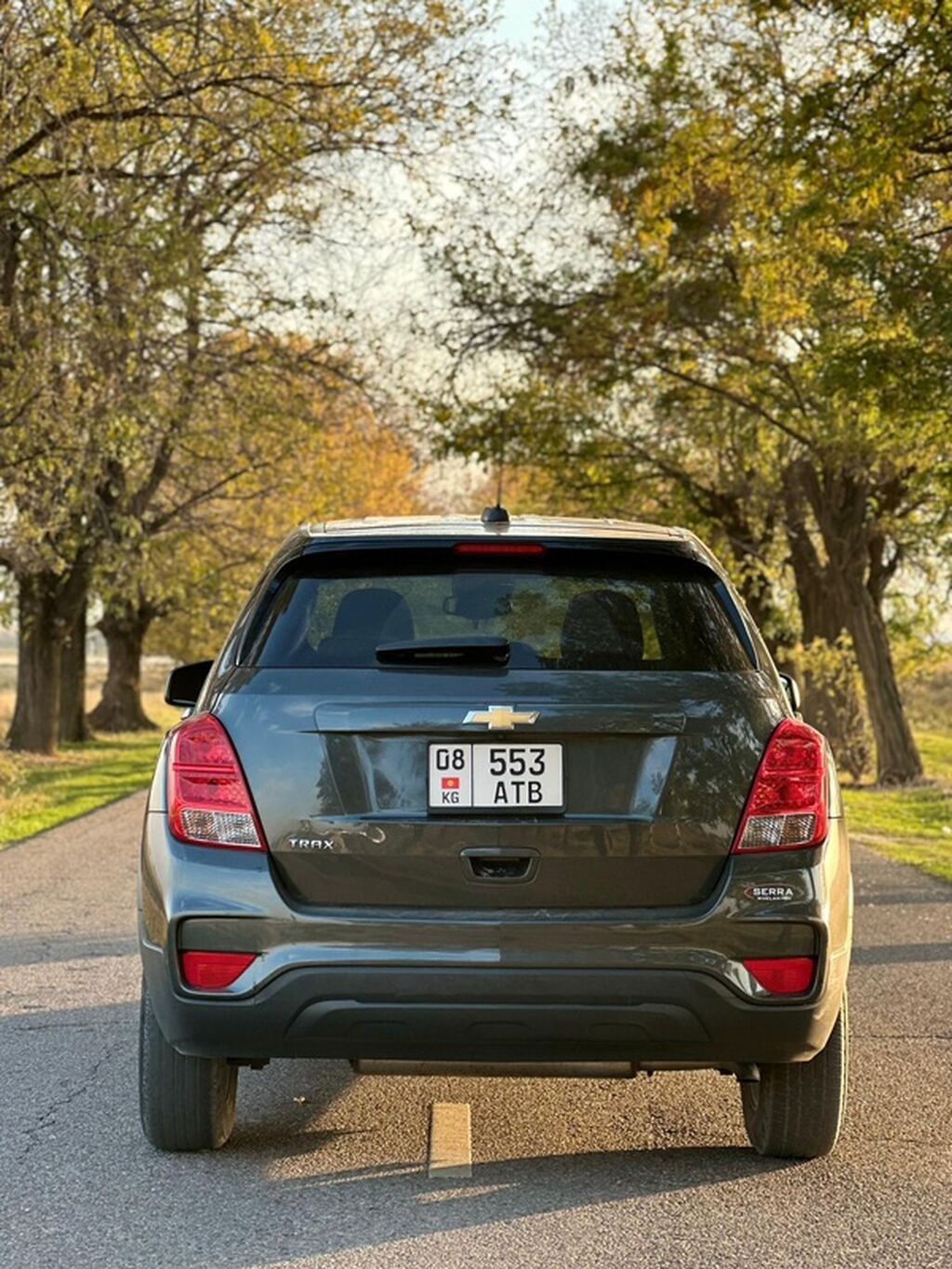 Chevrolet Trax: 2019 г., 1.4 л, Автомат, Бензин, Кроссовер: фото 6