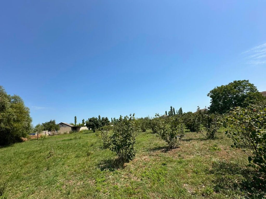 20 sot, Tikinti, Mülkiyyətçi, Kupça (Çıxarış)