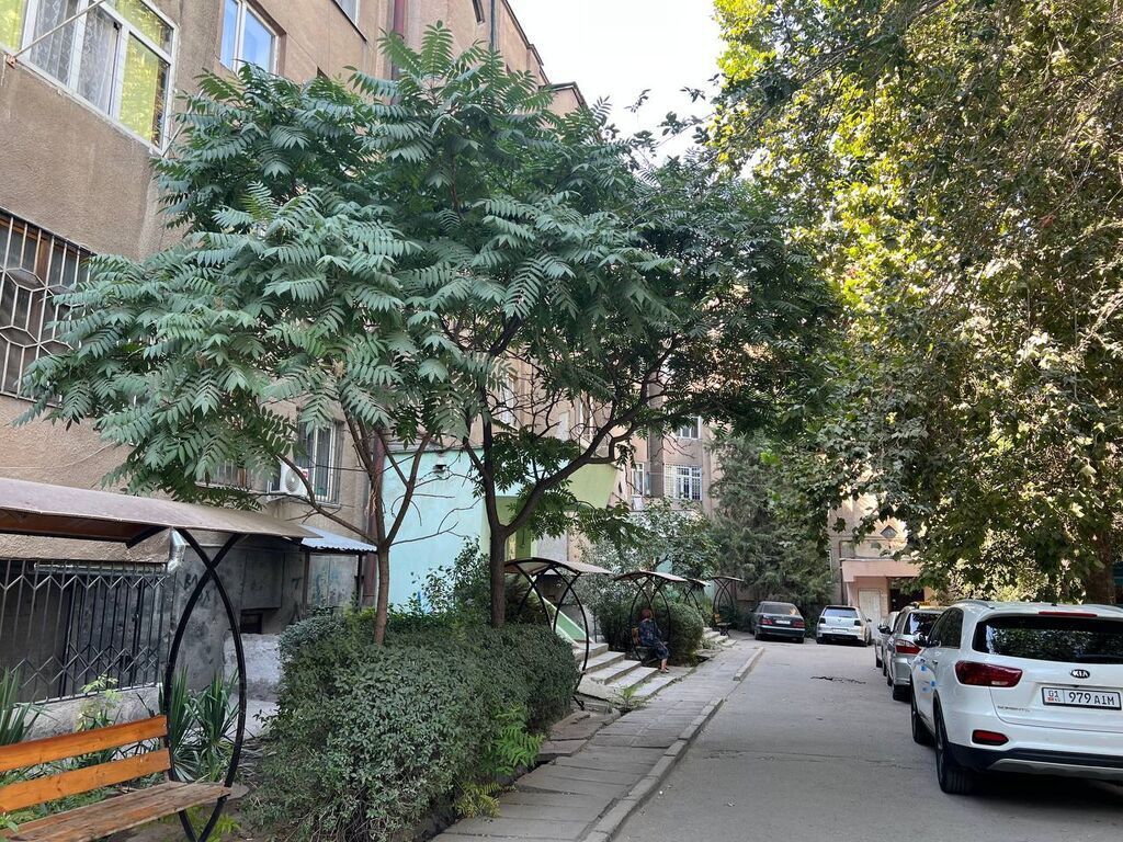 3 комнаты, 63 м², Таатан ТЦ Индивидуалка, 1 этаж: фото 3