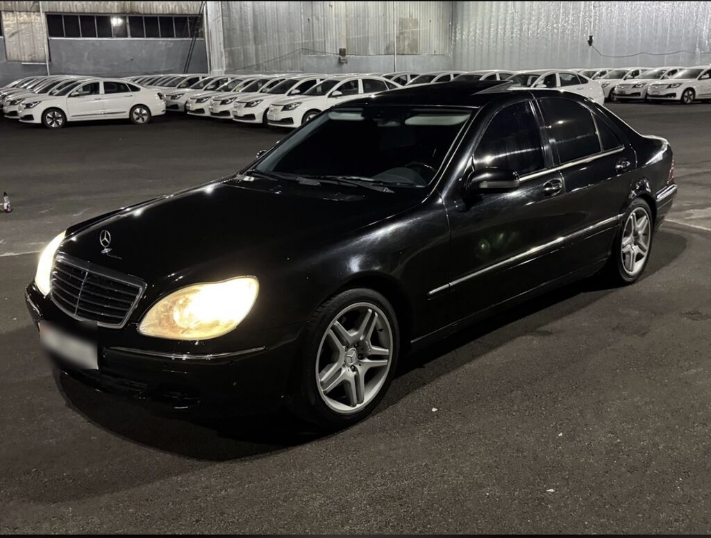 Mercedes-Benz S-Class: 1999 г., 5 л, Бензин: фото 5