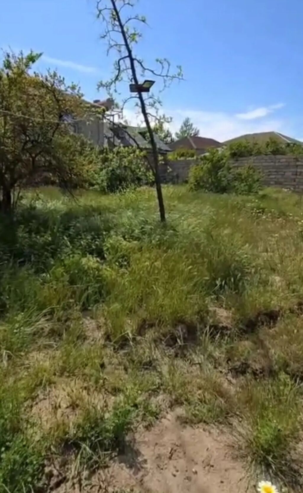 3 sot, Tikinti, Makler, Kupça (Çıxarış)