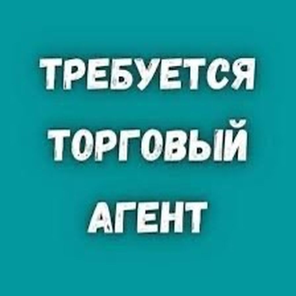 Требуется торговый агент (продажа электротоваров)