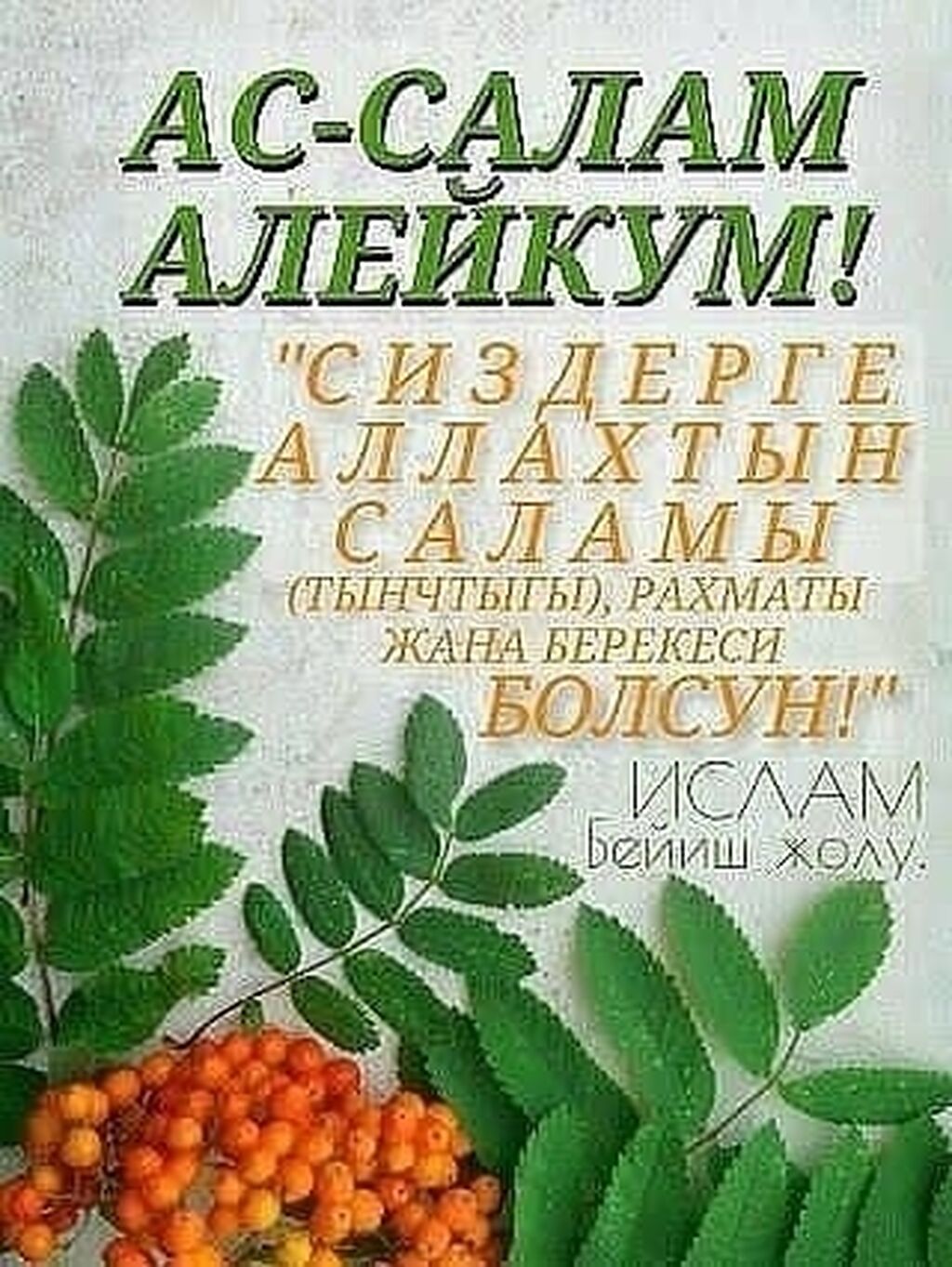 Жума маарек
