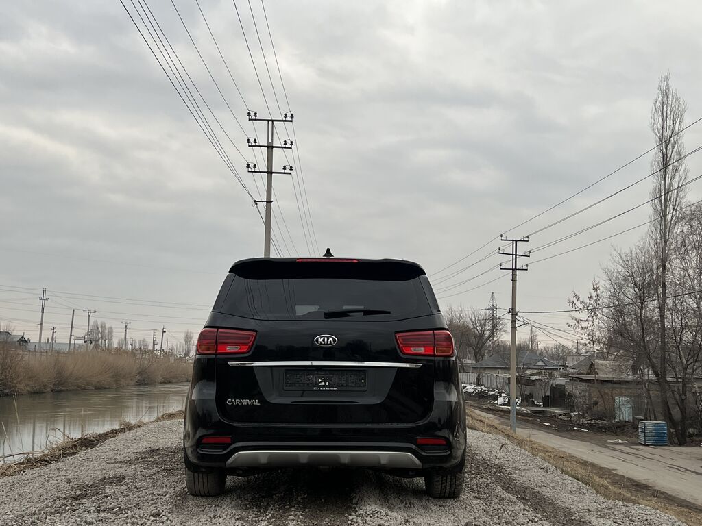 Kia Carnival: 2020 г., Дизель: фото 6