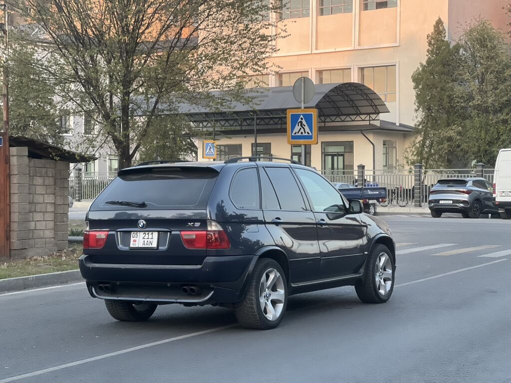 BMW X5: 2004 г., 4.4 л, Автомат, Бензин, Кроссовер: фото 7
