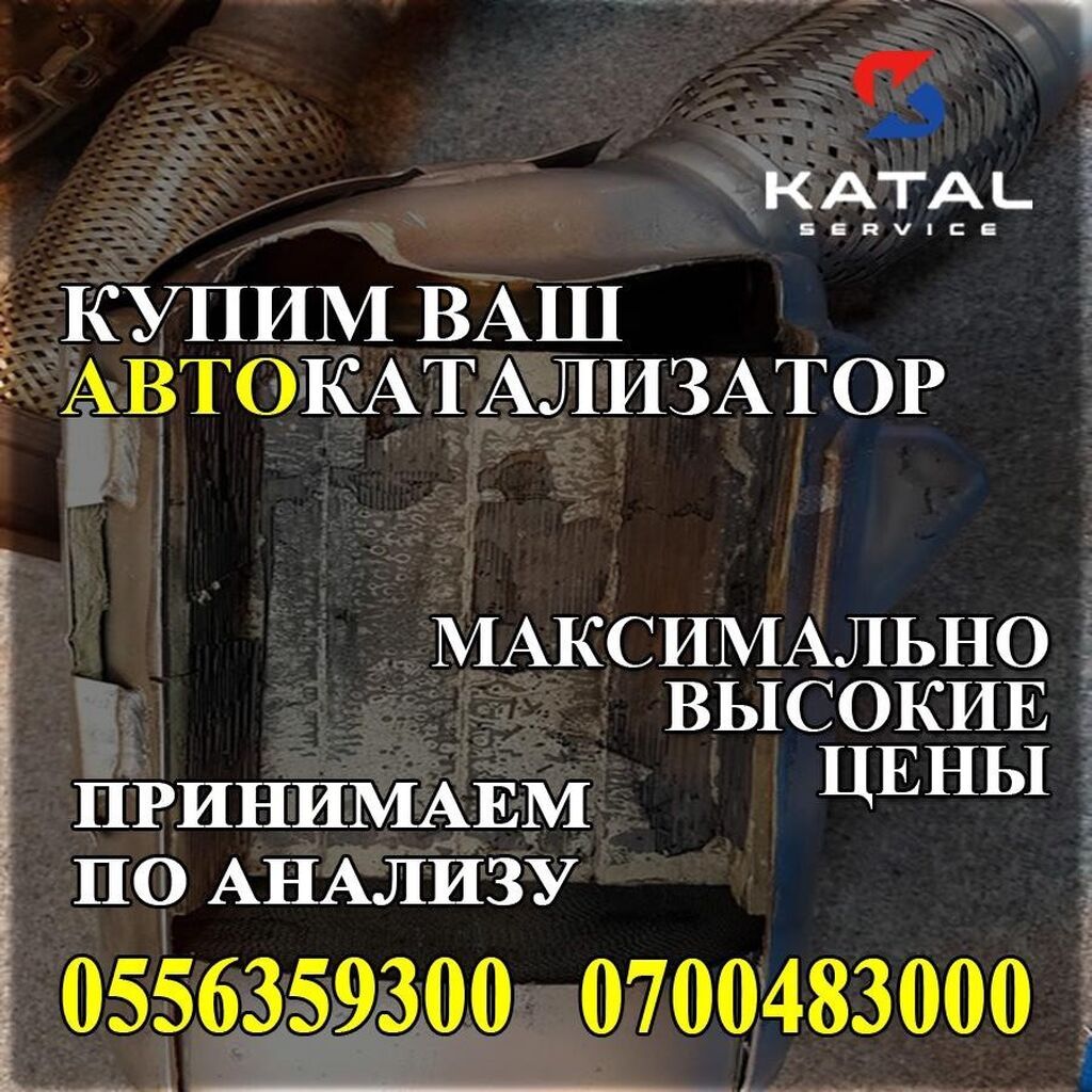 Катализатор алабыз, Катализатор Скупка катализаторов Бишкек, Скупка: фото 2