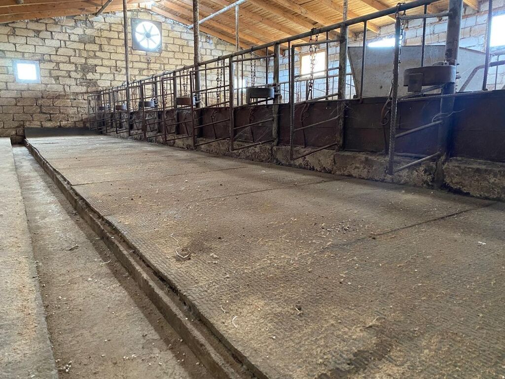 Ferma/Göyçayda 260 hektar sahədə ferma bütün avadanlıqlarla və fermada