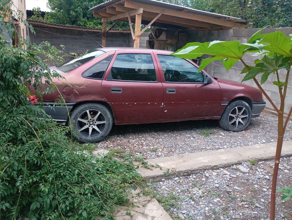 Opel Vectra: 1992 г., 1.6 л, Механика, Бензин, Седан: фото 4